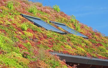 Berrington Green living roof systems